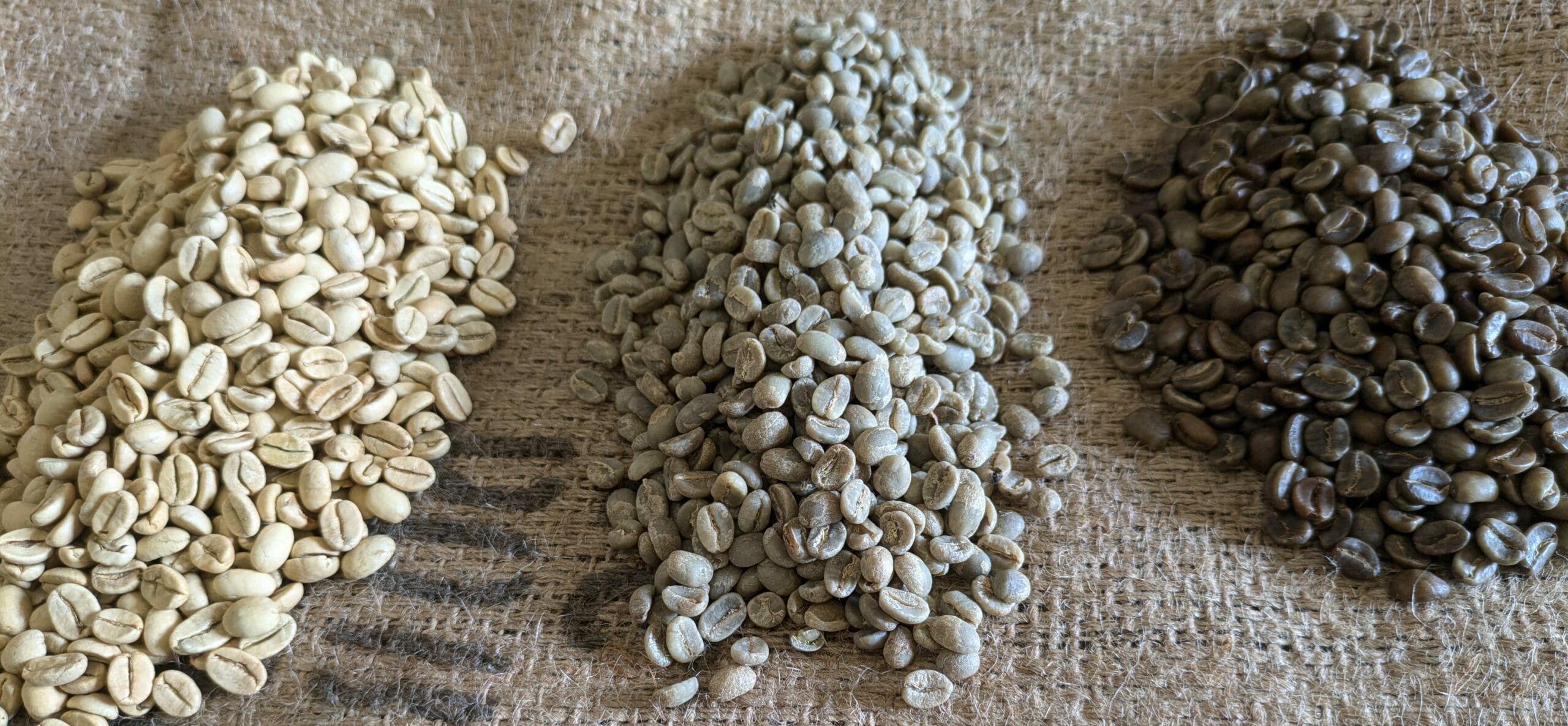 Verschiedene Sorten Rohkaffee nebeneinander – symbolisieren hochwertigen Spezialitätenkaffee aus aller Welt.