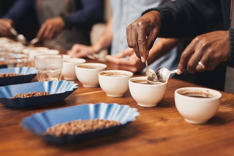 Mehrere Personen verkosten an einem Holztisch mit verschiedenen Tassen Spezialitäten Kaffee und prüfen mit Löffeln das Aroma, während im Vordergrund Kaffeebohnen liegen. Das ist eine typische Cupping-Szene, die zeigt, was Spezialitäten Kaffee ausmacht, so wie er bei Cafesito erhältlich ist.